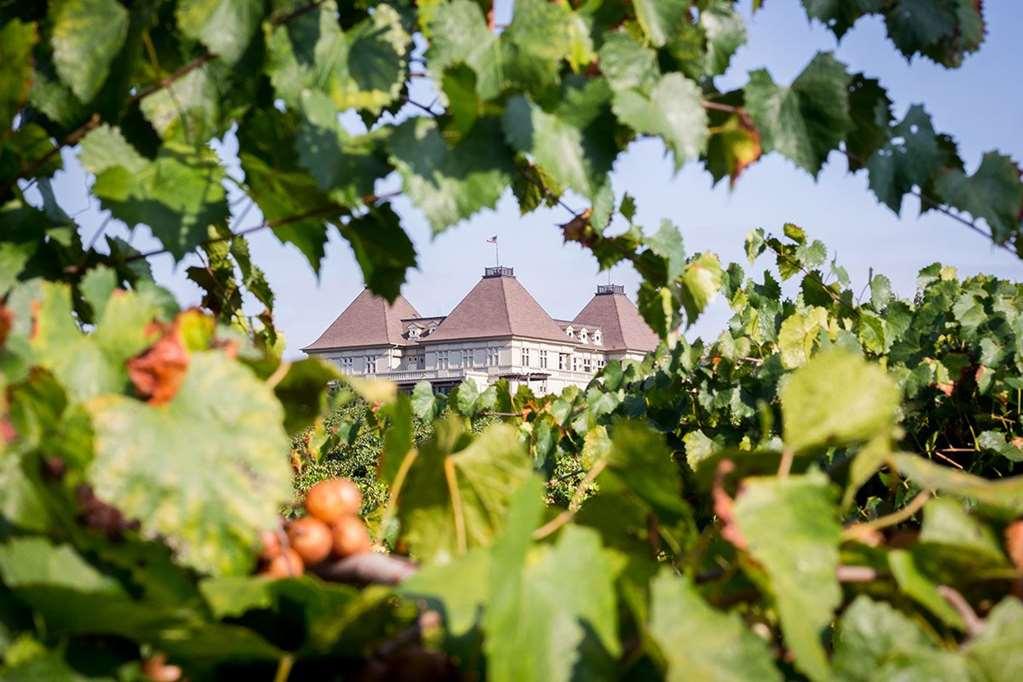 Chateau Elan Winery Braselton Bagian luar foto