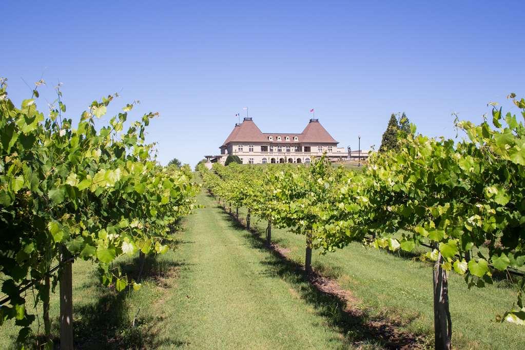 Chateau Elan Winery Braselton Bagian luar foto