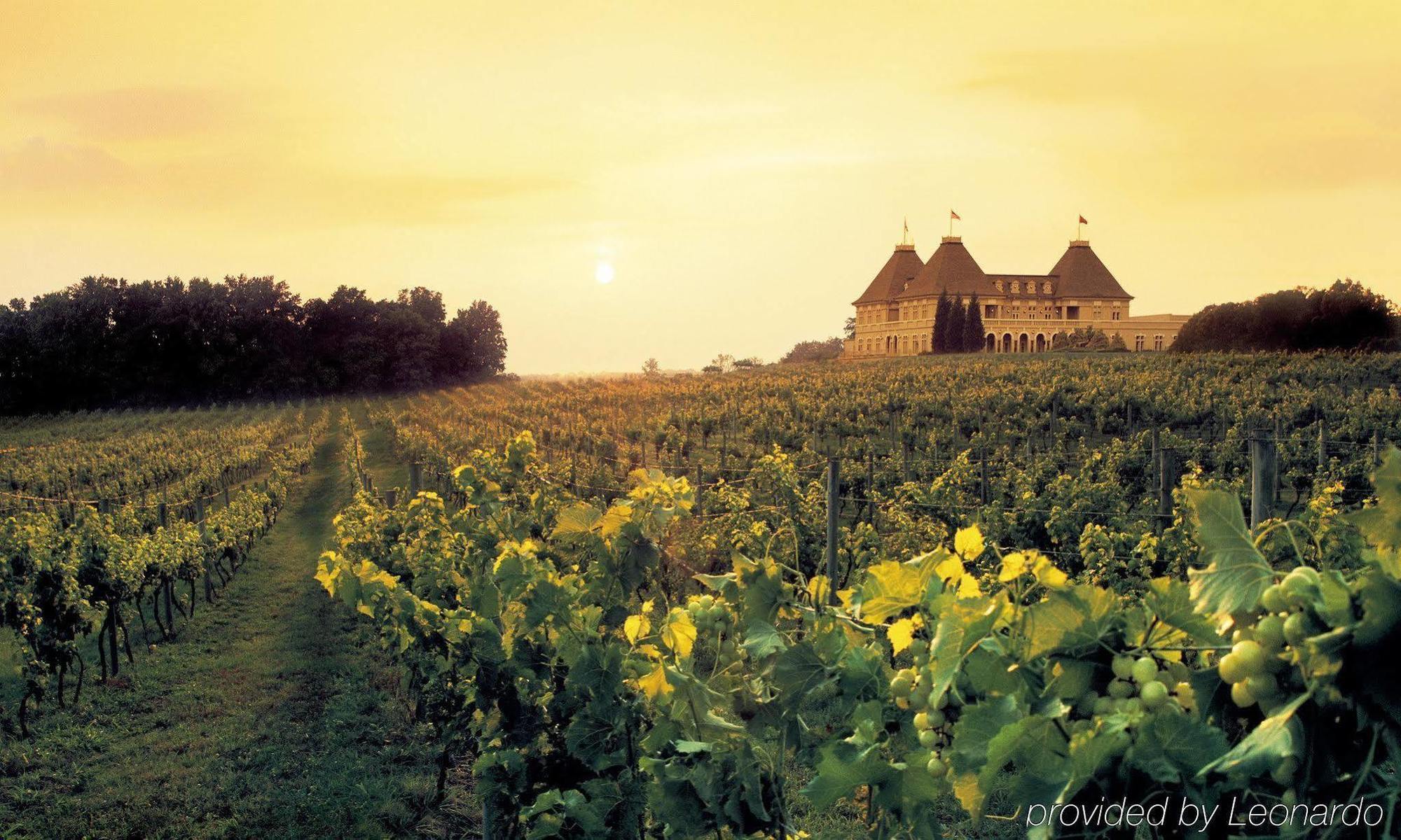 Chateau Elan Winery Braselton Bagian luar foto