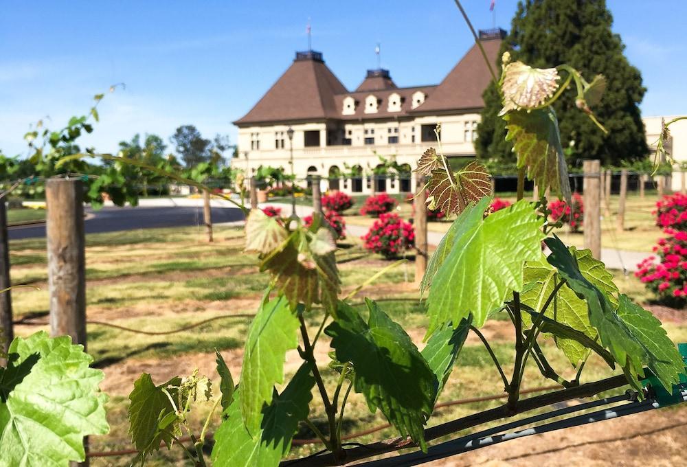 Chateau Elan Winery Braselton Bagian luar foto